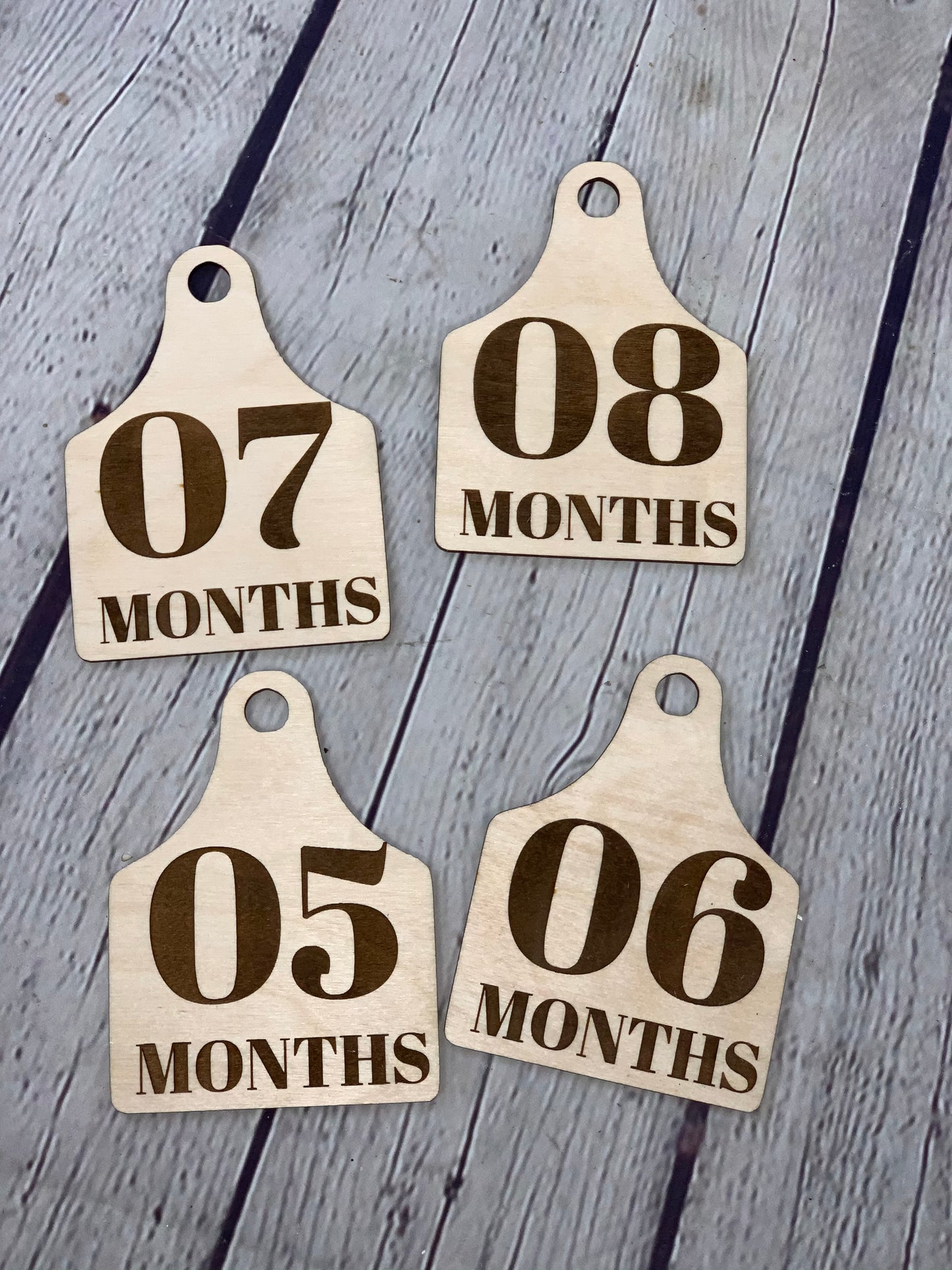Farm Animal Tag Monthly Milestone Photo Discs I Engraved Monthly Milestone I Baby Milestone Cards I Monthly Photo Props I Baby Gift