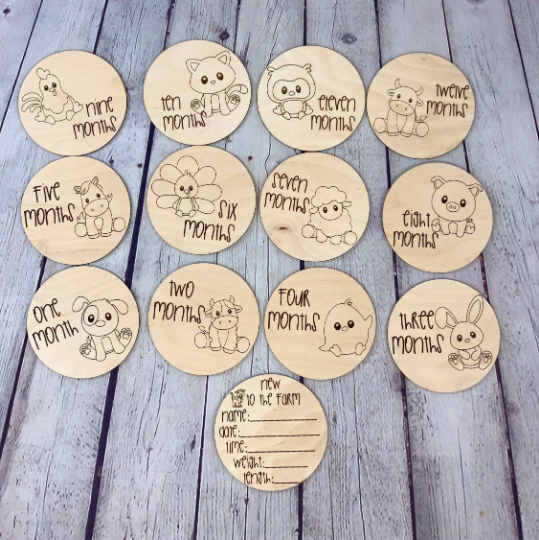 Baby Farm Animal Monthly Milestone Photo Discs I Engraved Monthly Milestone I Baby Milestone Cards I Monthly Photo Props I Baby Gift