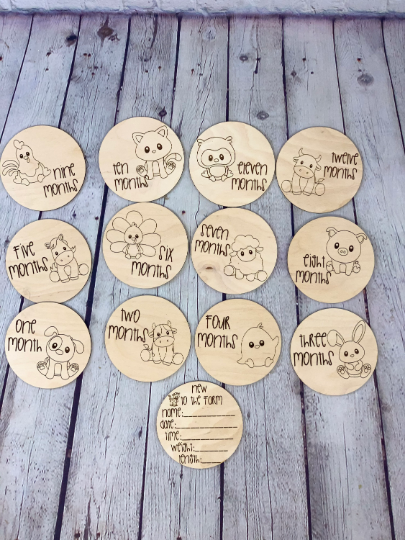 Baby Farm Animal Monthly Milestone Photo Discs I Engraved Monthly Milestone I Baby Milestone Cards I Monthly Photo Props I Baby Gift