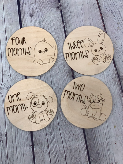 Baby Farm Animal Monthly Milestone Photo Discs I Engraved Monthly Milestone I Baby Milestone Cards I Monthly Photo Props I Baby Gift