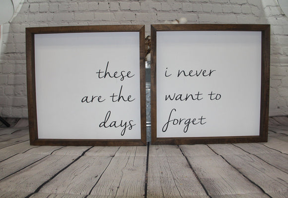 These are the days I never want to forget Farmhouse Set of 2 Signs | Nursery Decor | Duo Sign Set