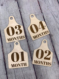 Farm Animal Tag Monthly Milestone Photo Discs I Engraved Monthly Milestone I Baby Milestone Cards I Monthly Photo Props I Baby Gift